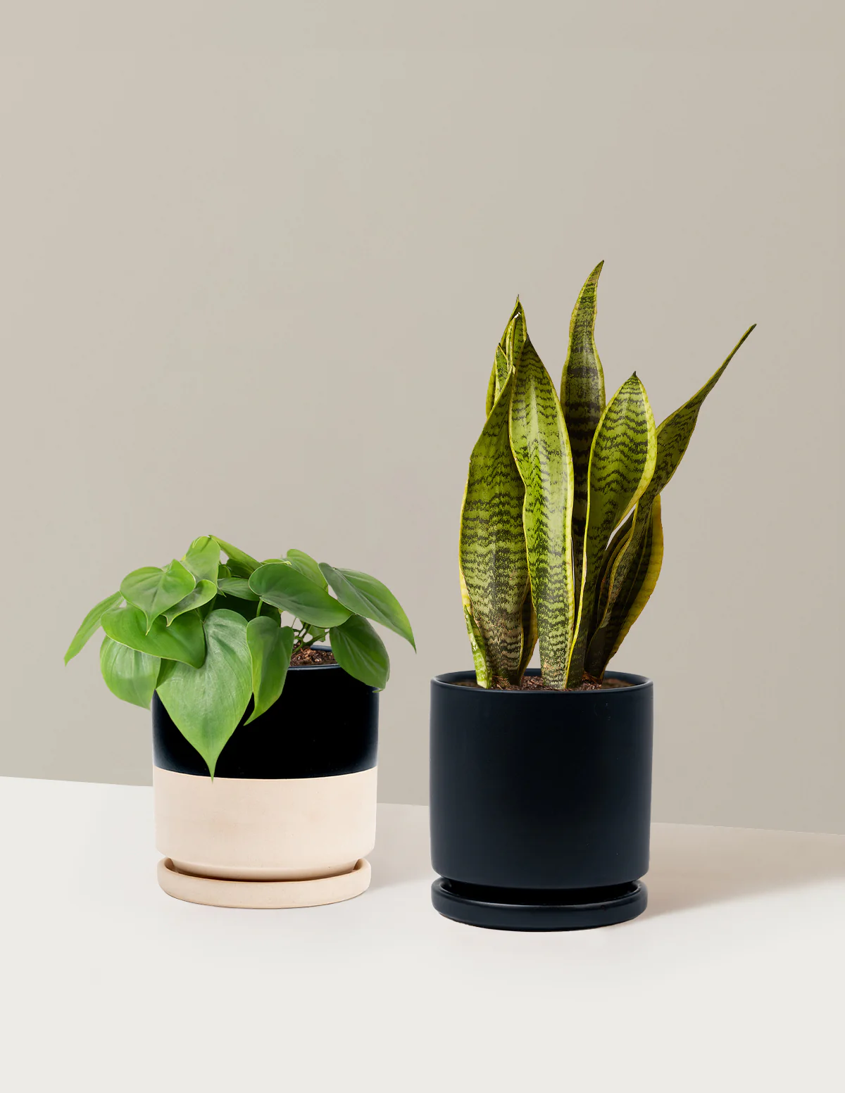 Living Room Duo - Image 25