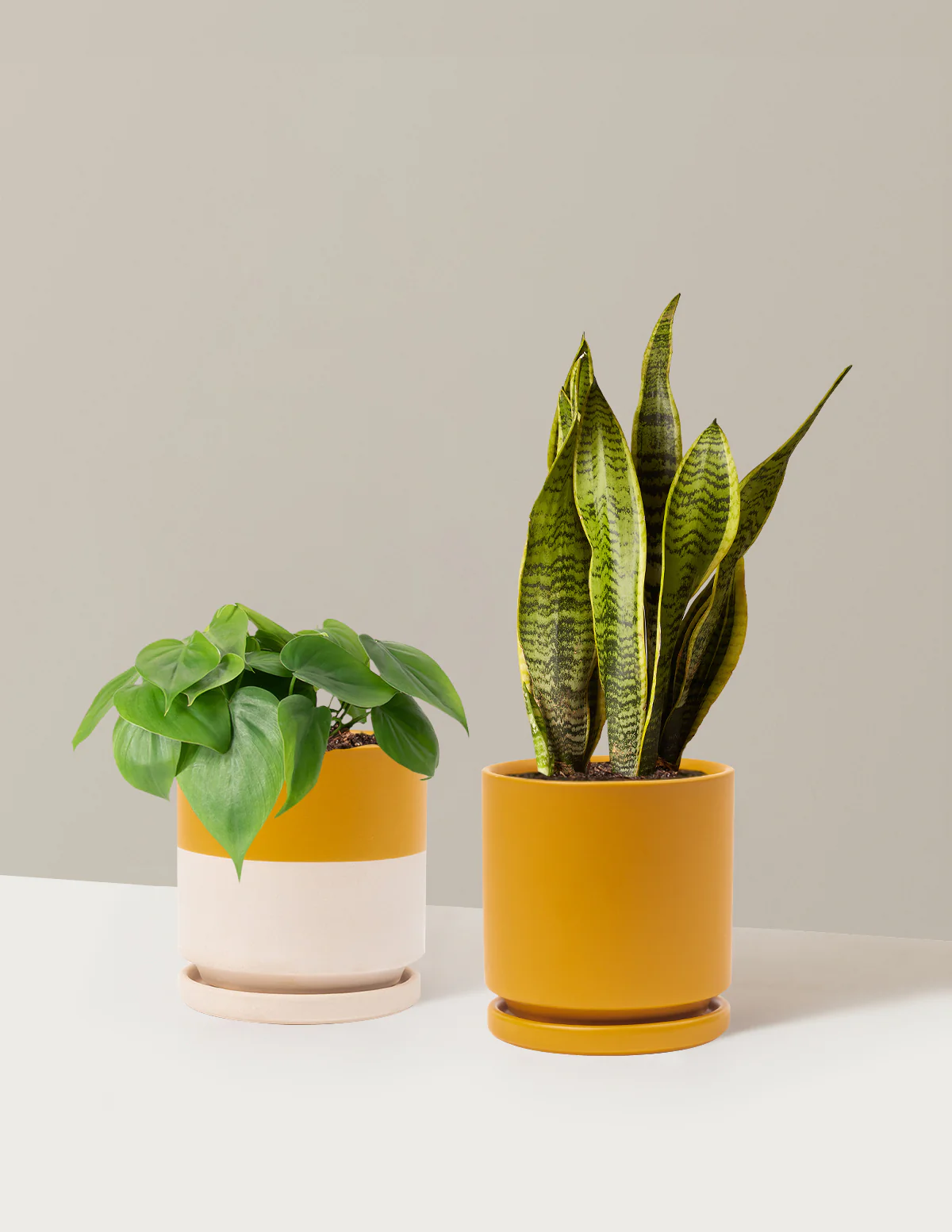 Living Room Duo - Image 26