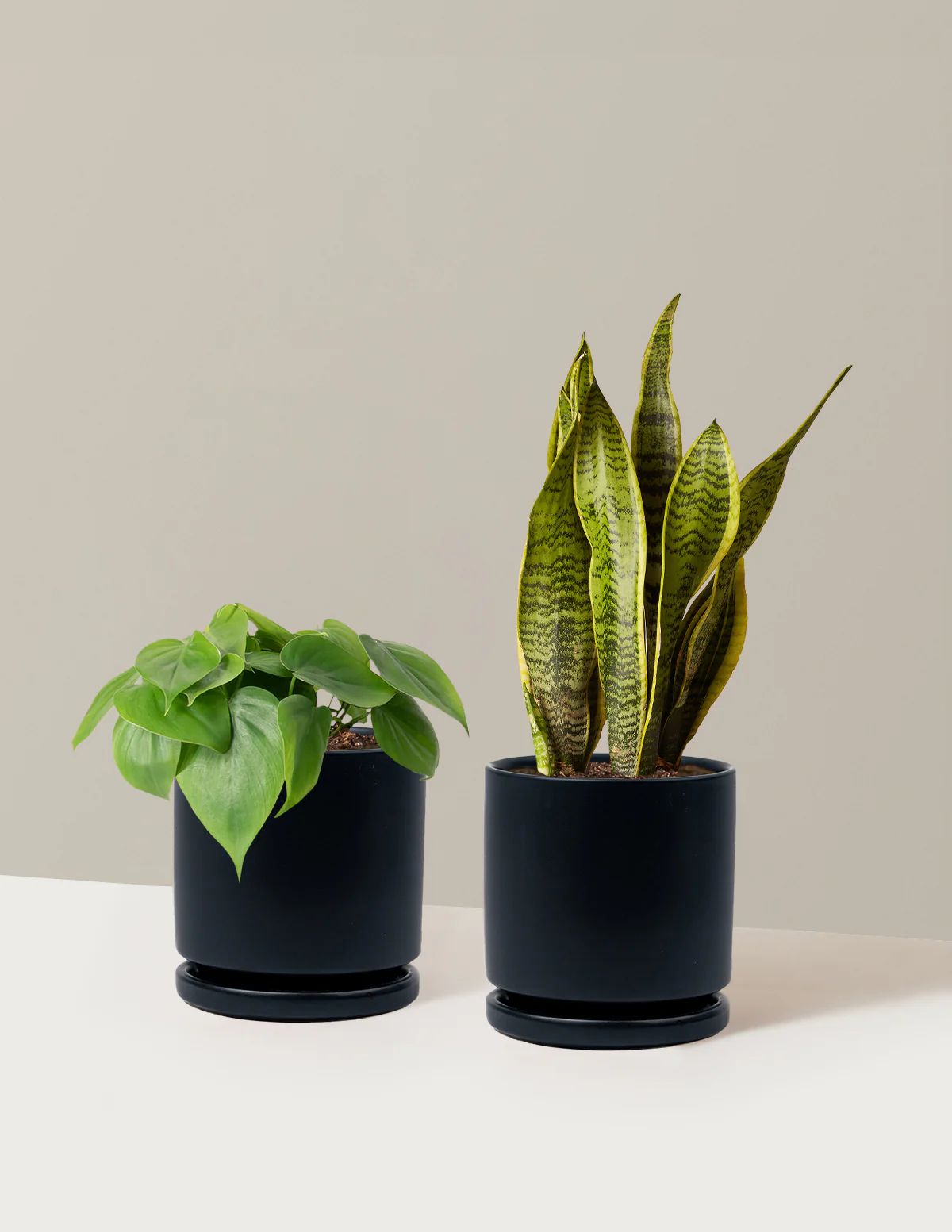 Living Room Duo - Image 27