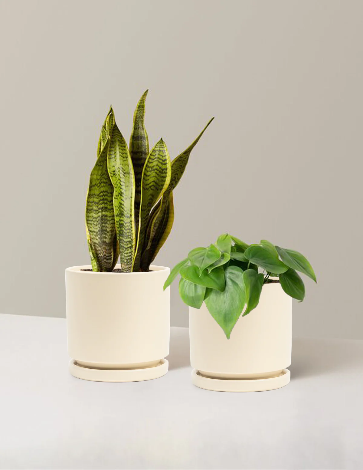 Living Room Duo - Image 28