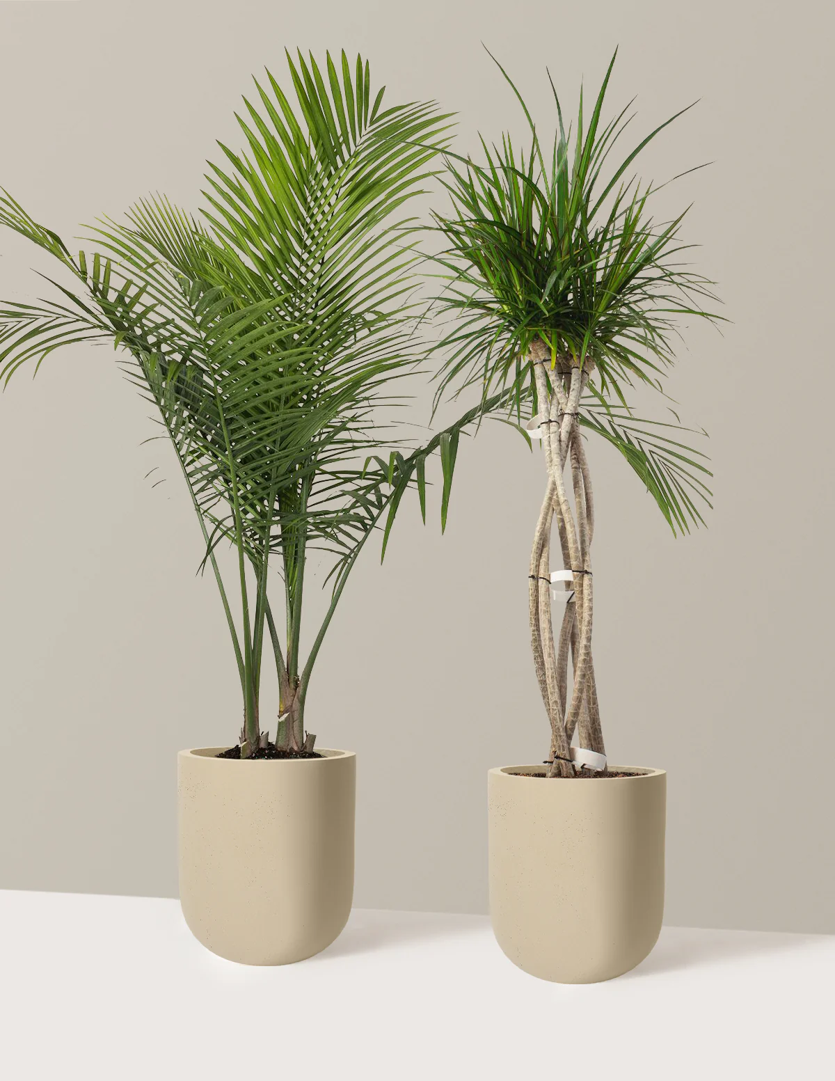 Luxe Grove Duo - Image 15