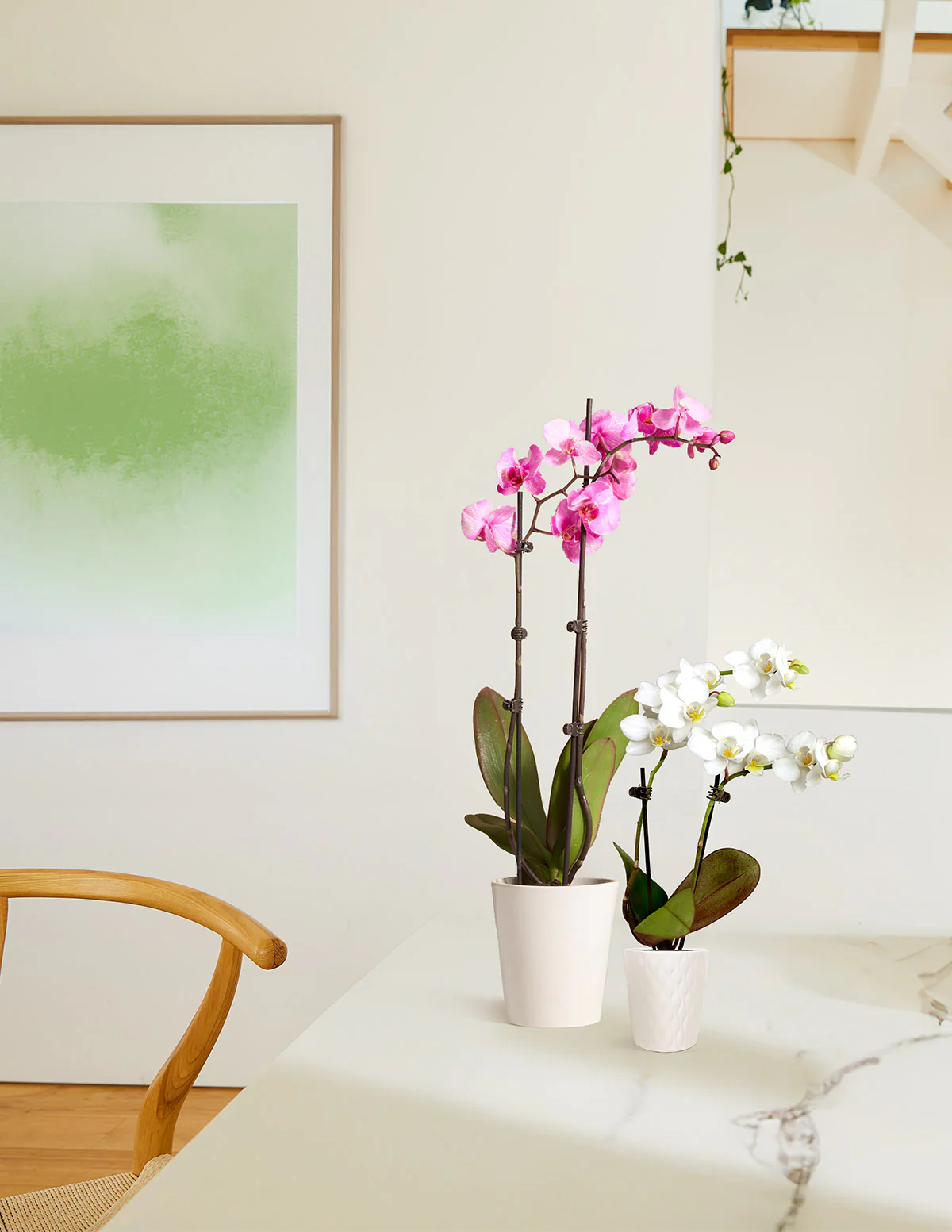 Mini Orchid - Image 13