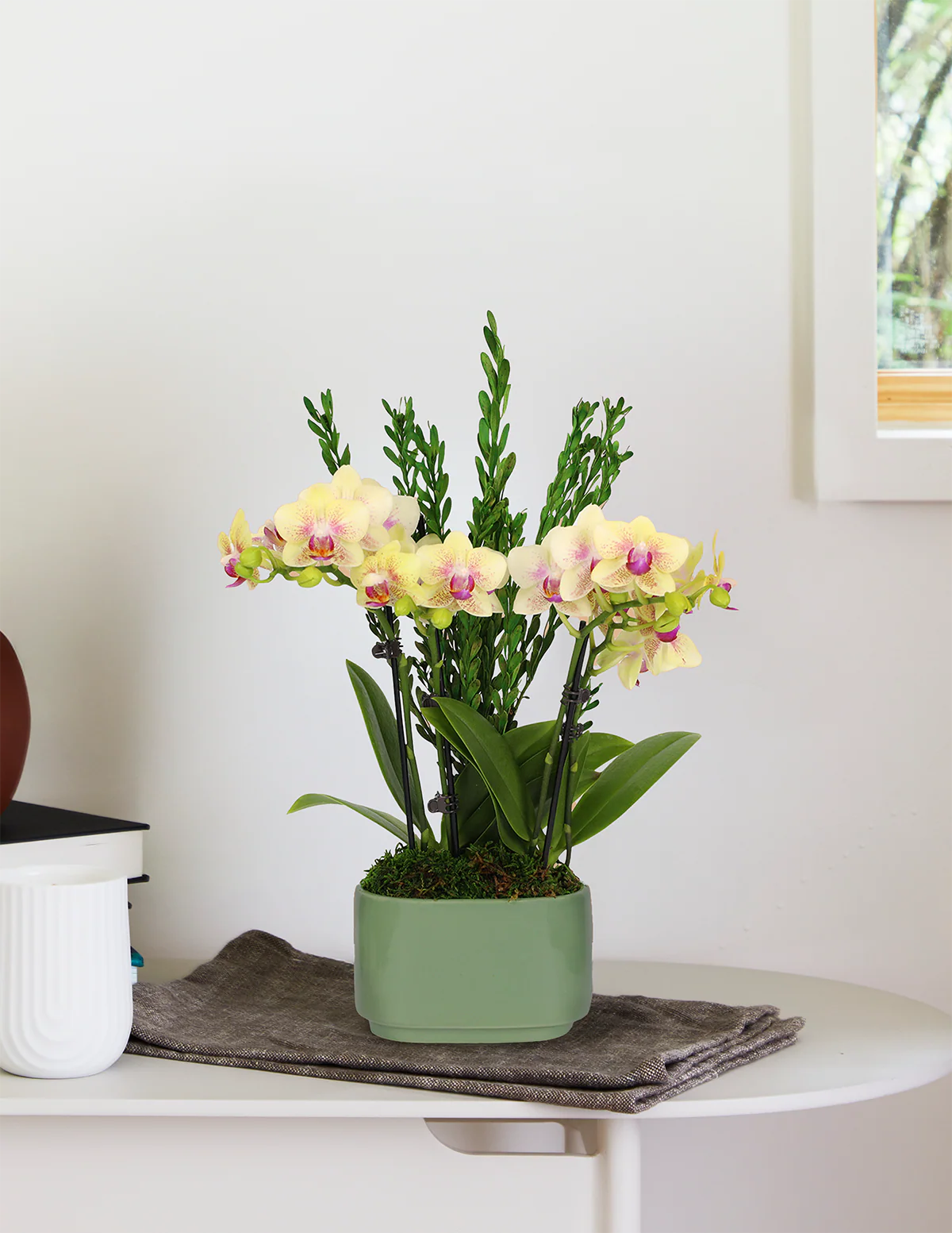 Small Double Orchid - Image 6