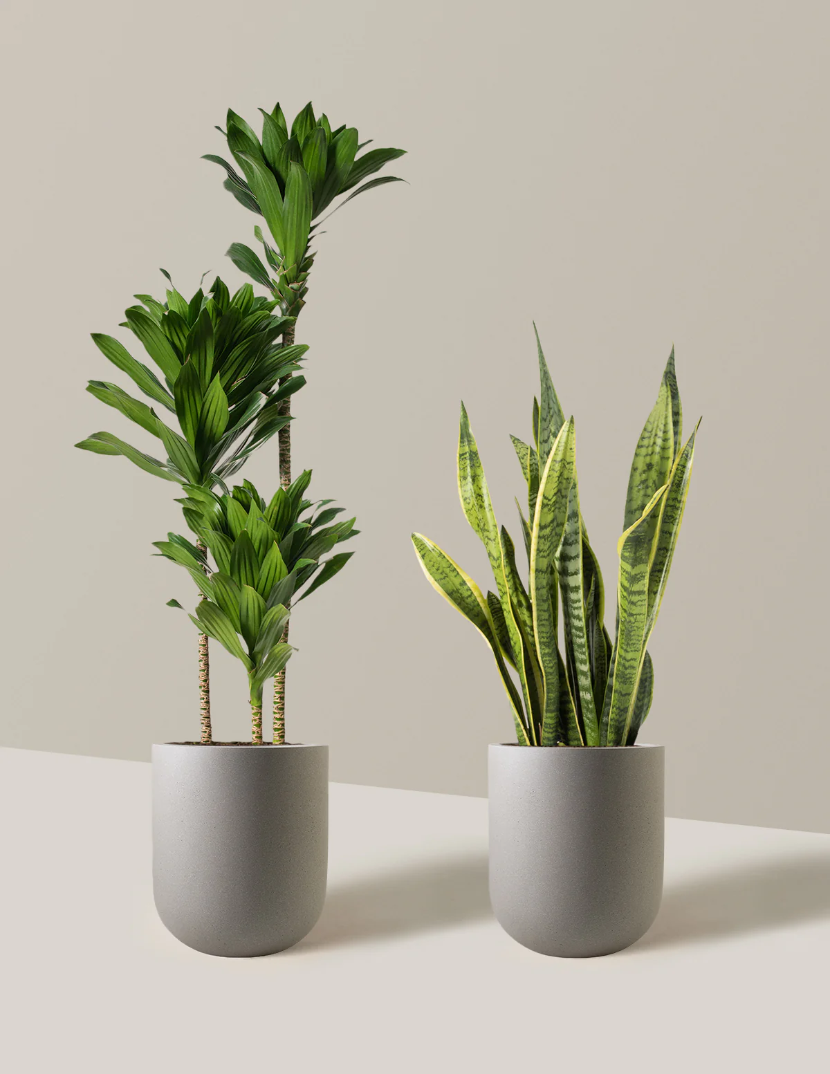 Modern Office Duo - Image 3