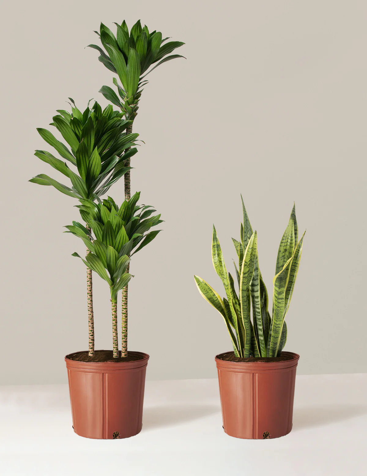 Modern Office Duo - Image 4