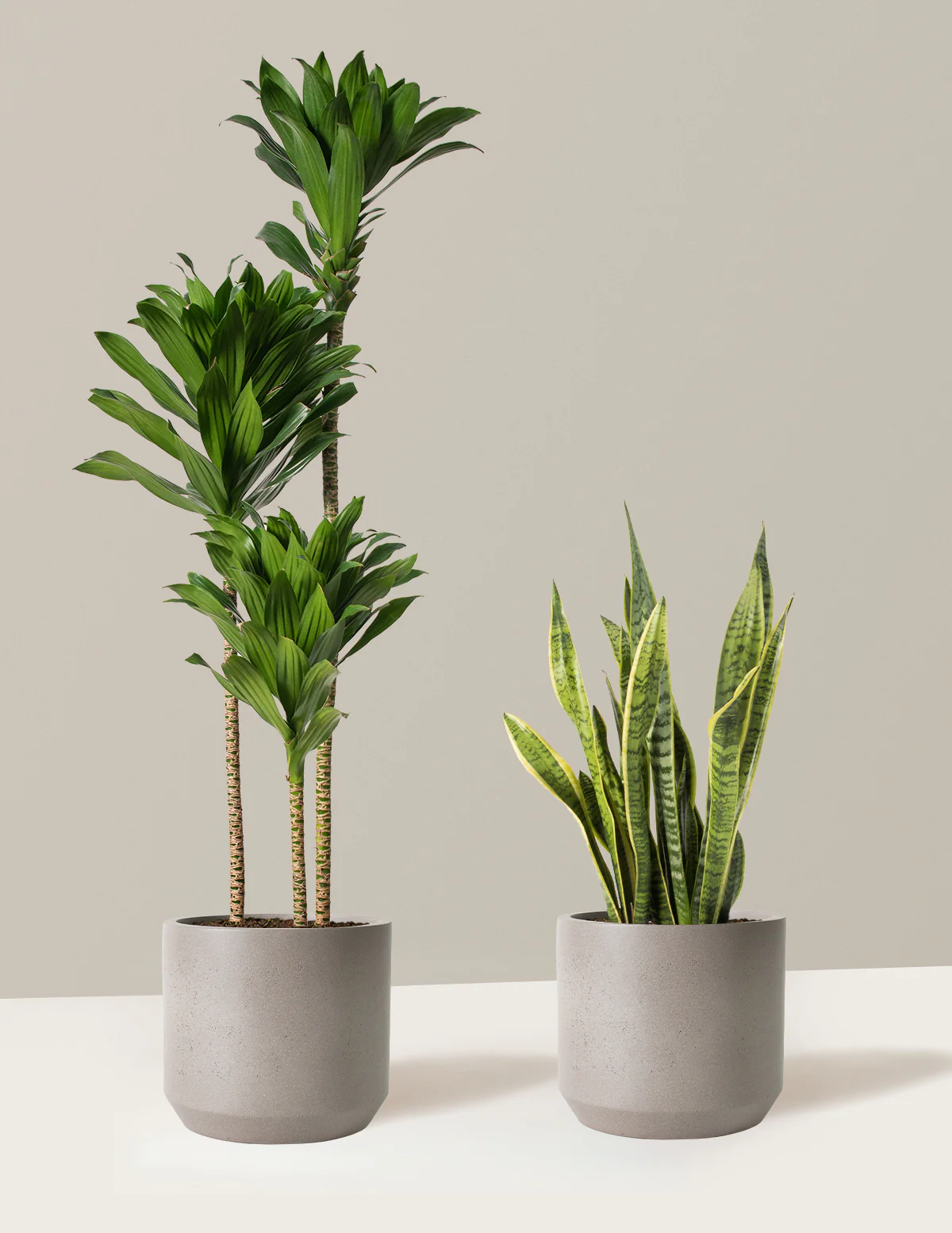 Modern Office Duo - Image 5