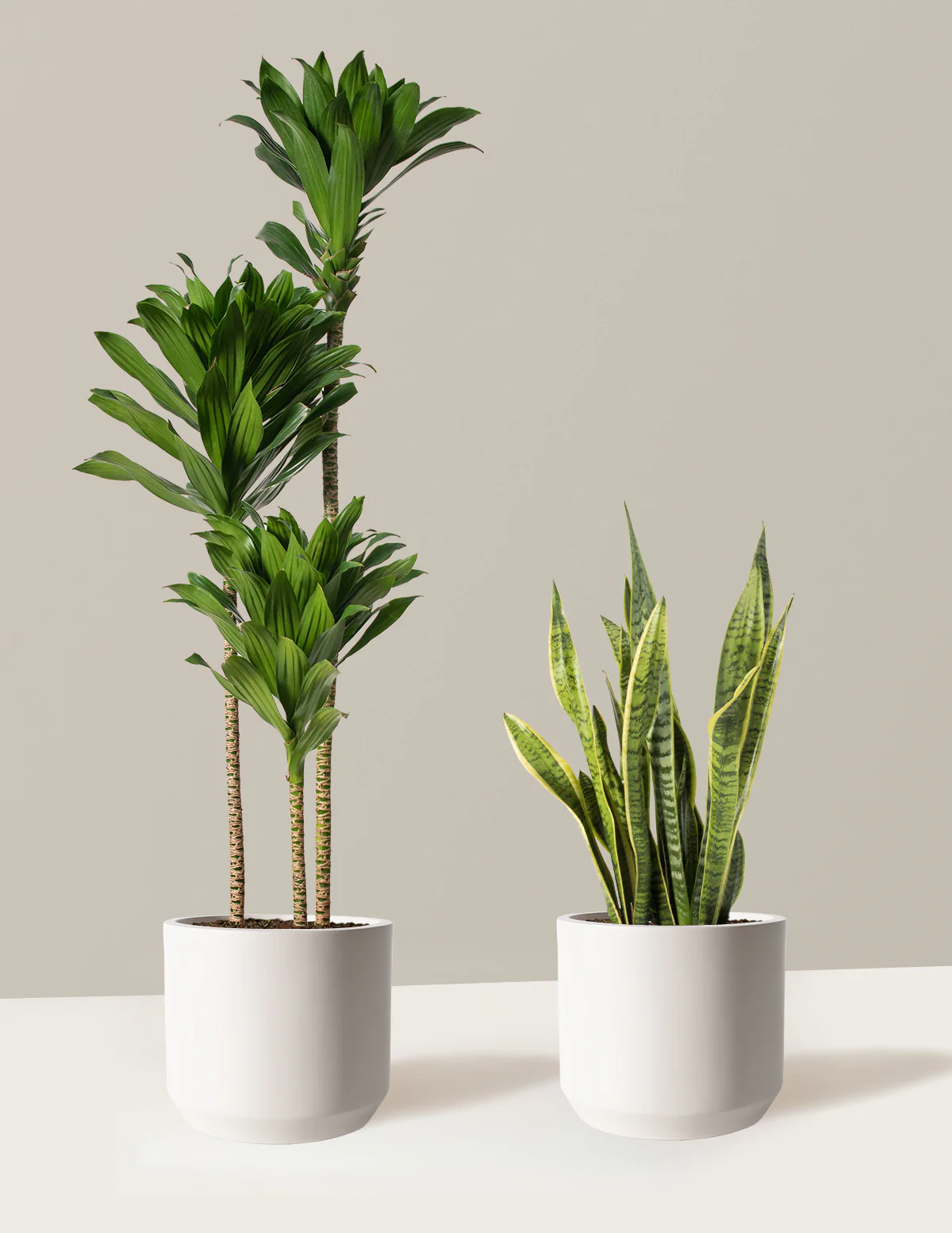 Modern Office Duo - Image 7