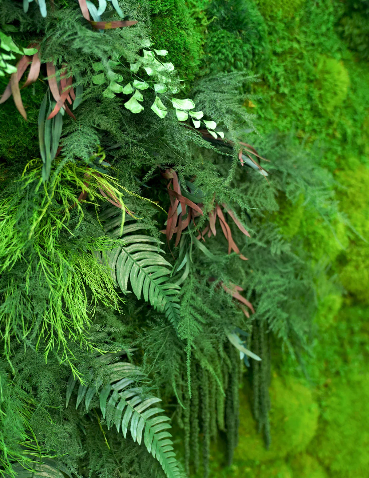 Giant Preserved Living Wall - Image 3