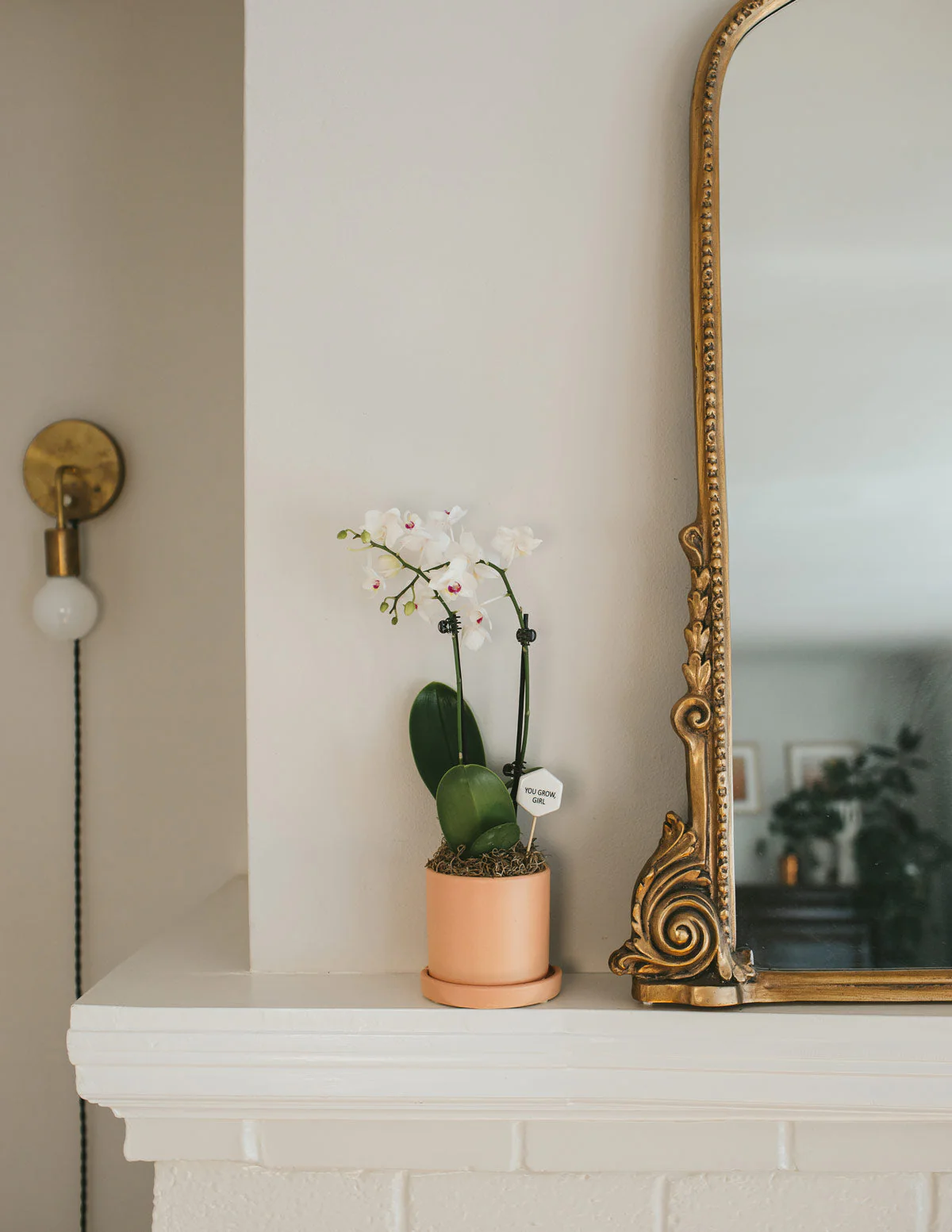Petite White Orchid - Image 5