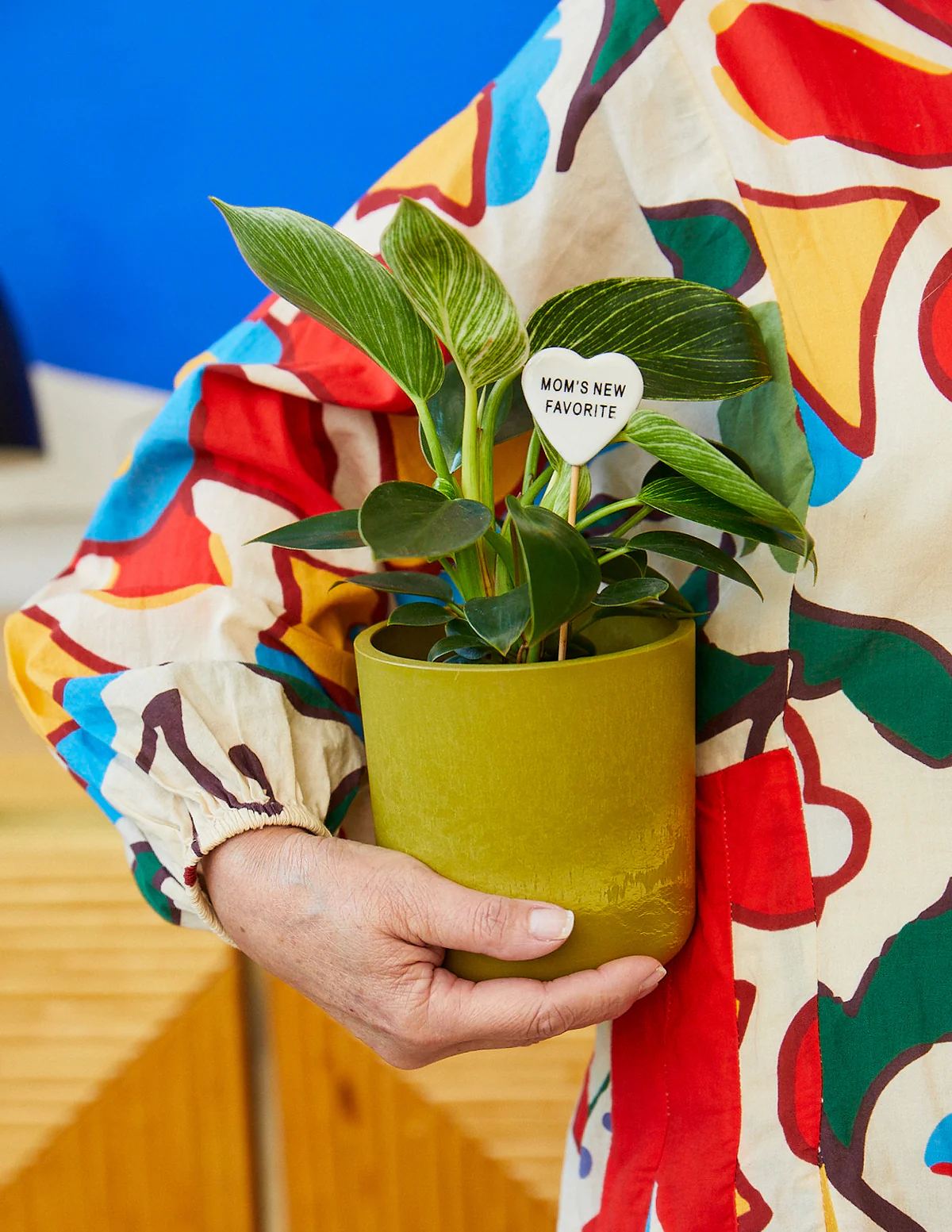 Philodendron Birkin - Image 3