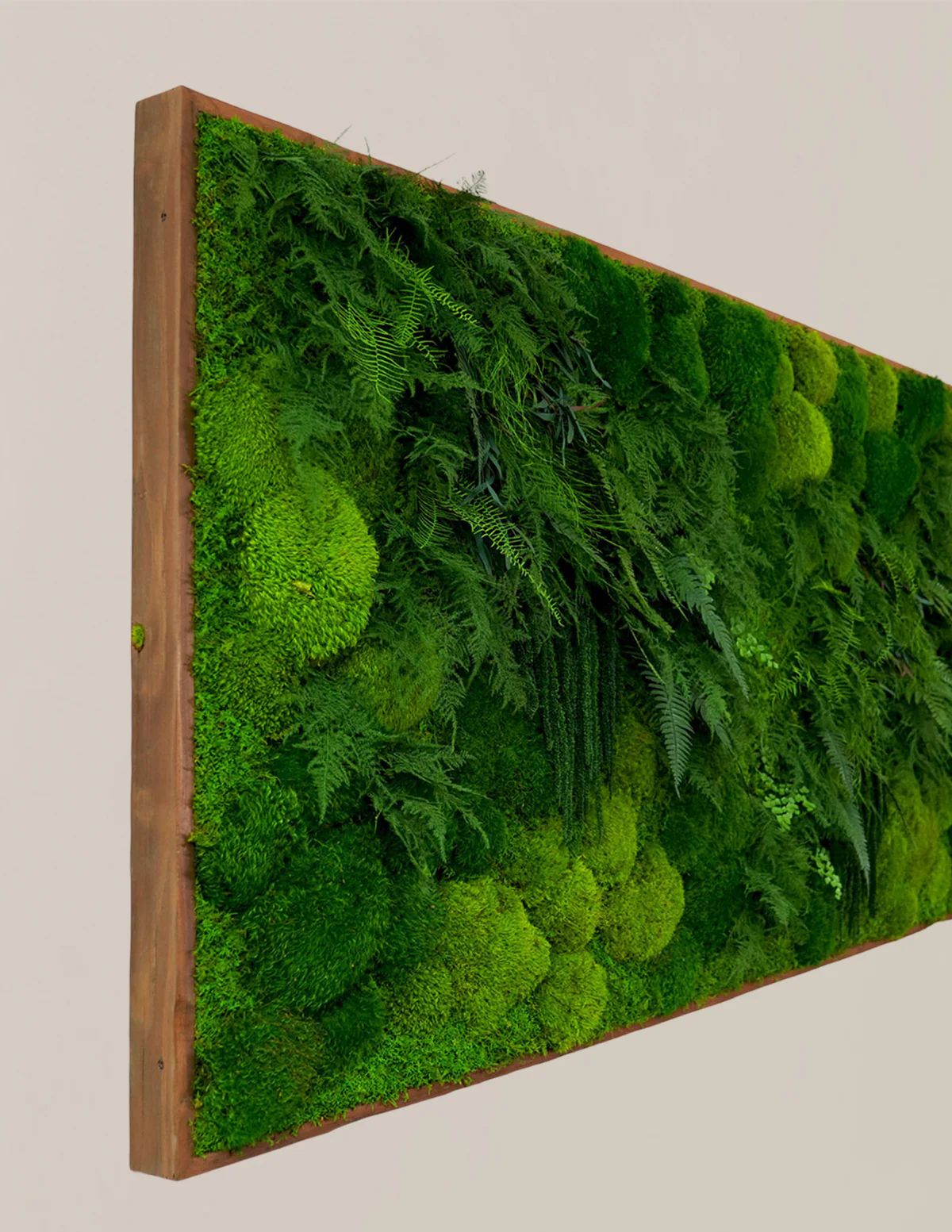 Large Preserved Living Wall - Image 2