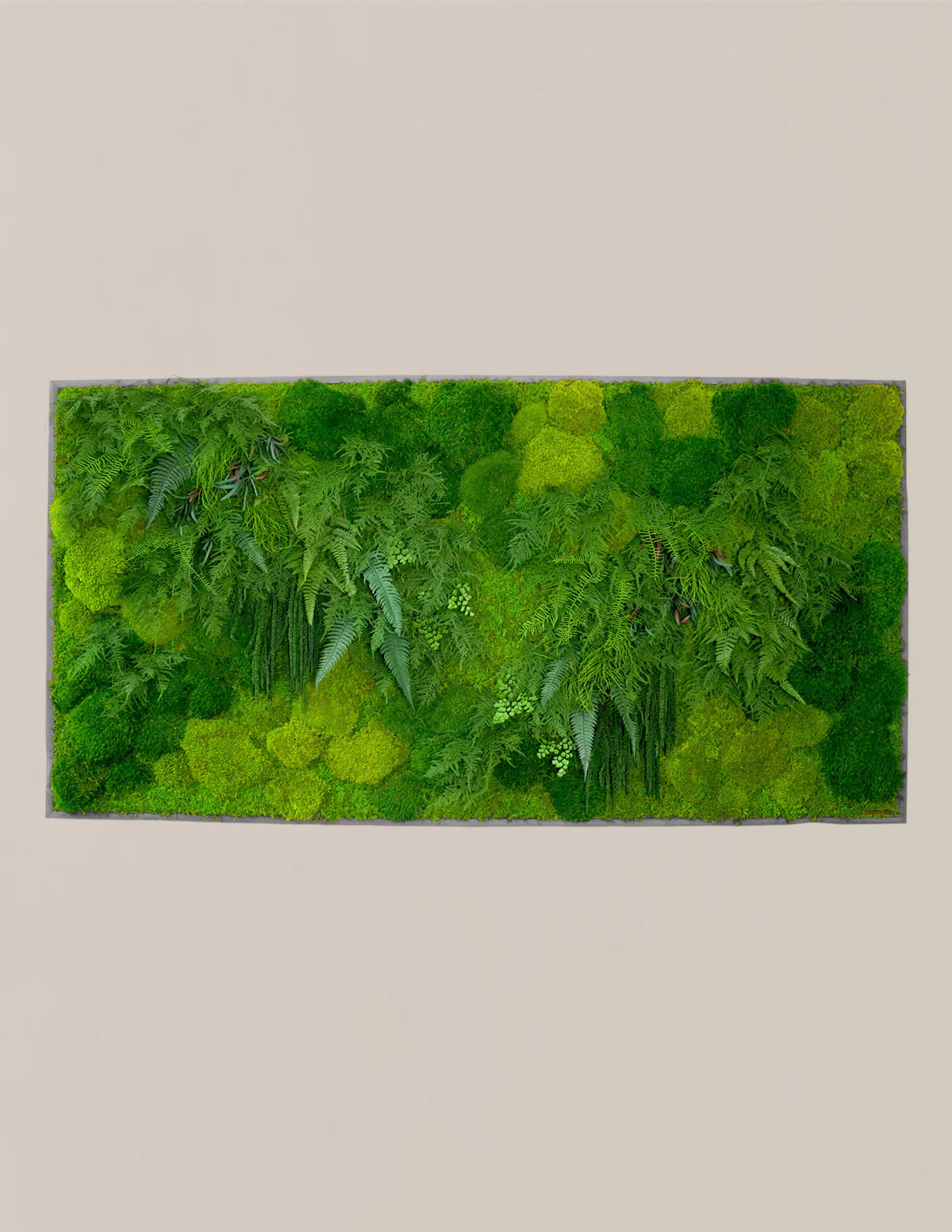Large Preserved Living Wall - Image 3