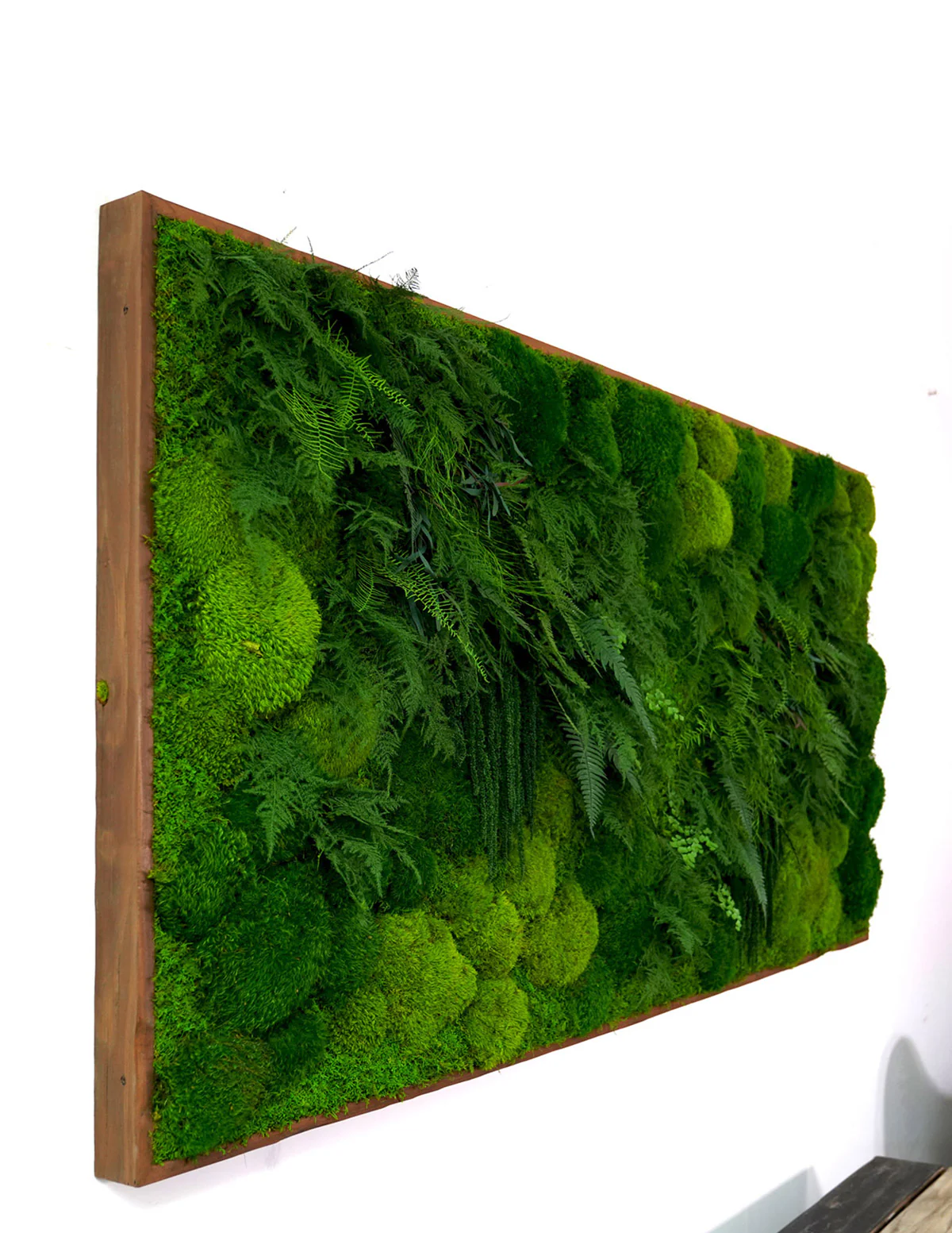Large Preserved Living Wall - Image 5