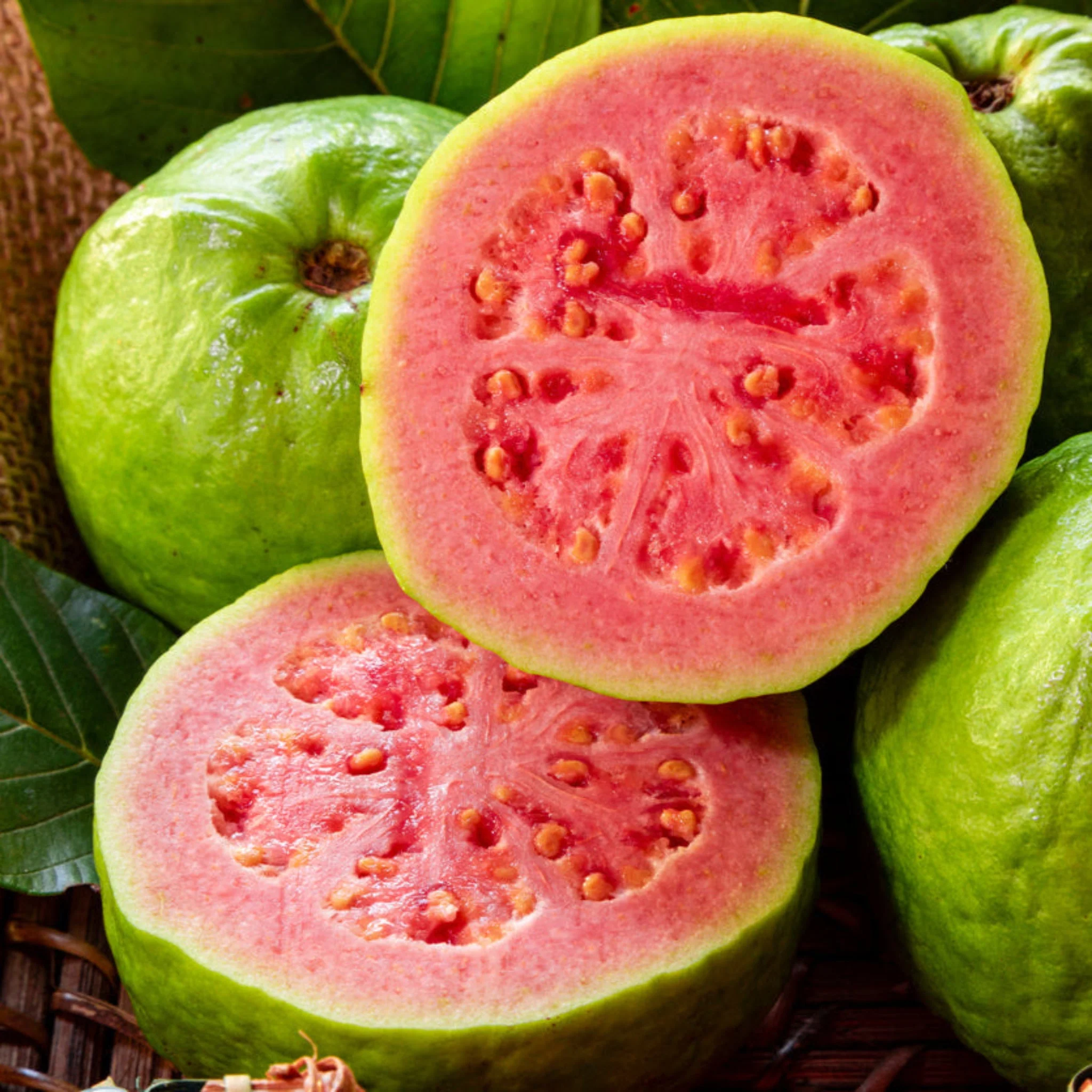 Ruby Supreme Guava Tree - Image 5
