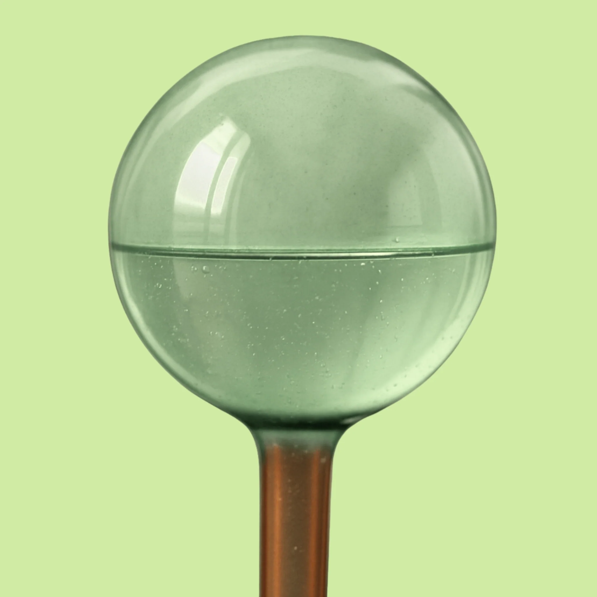 Self Watering Plant Globes - Image 3