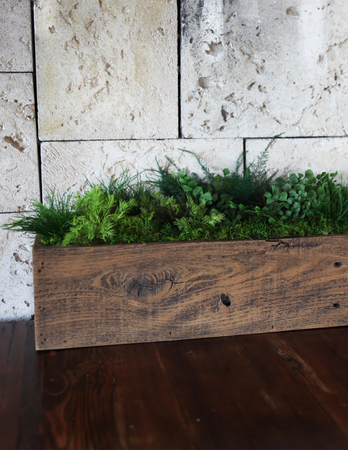Preserved Moss & Fern Box - Image 5