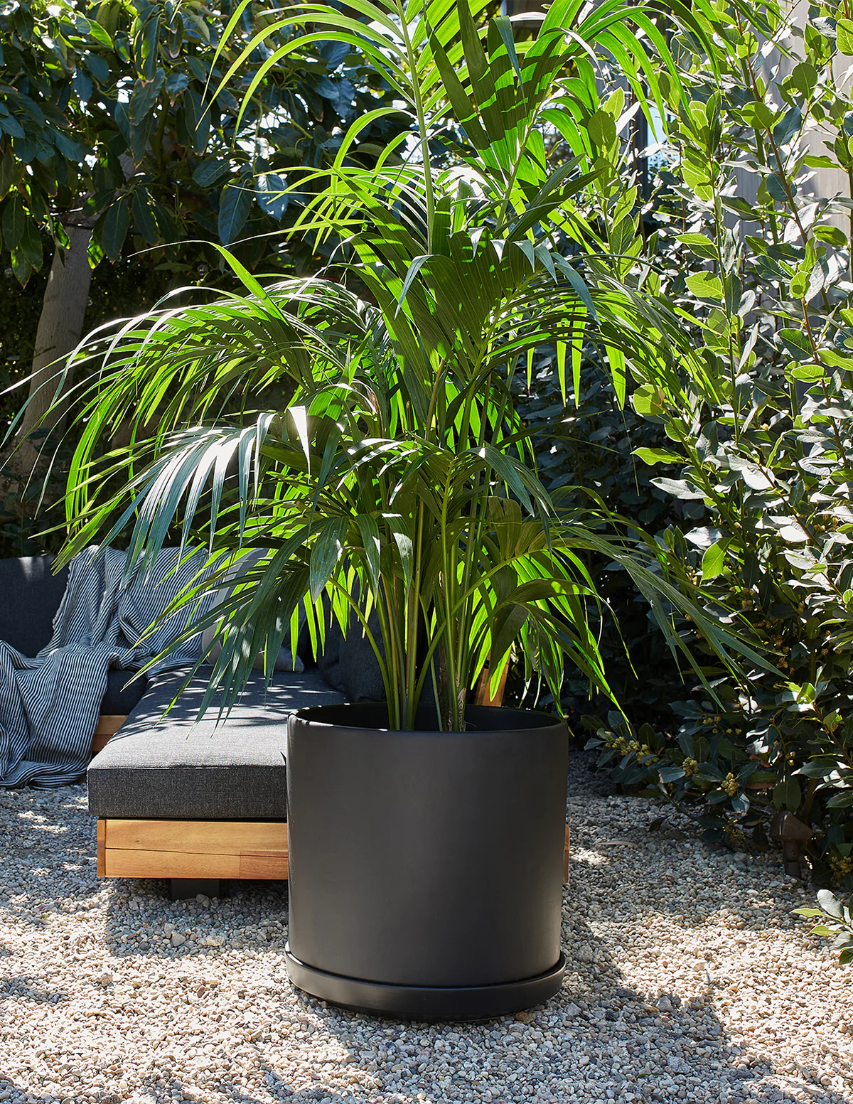 Solid Goods Planter with Saucer - Image 4