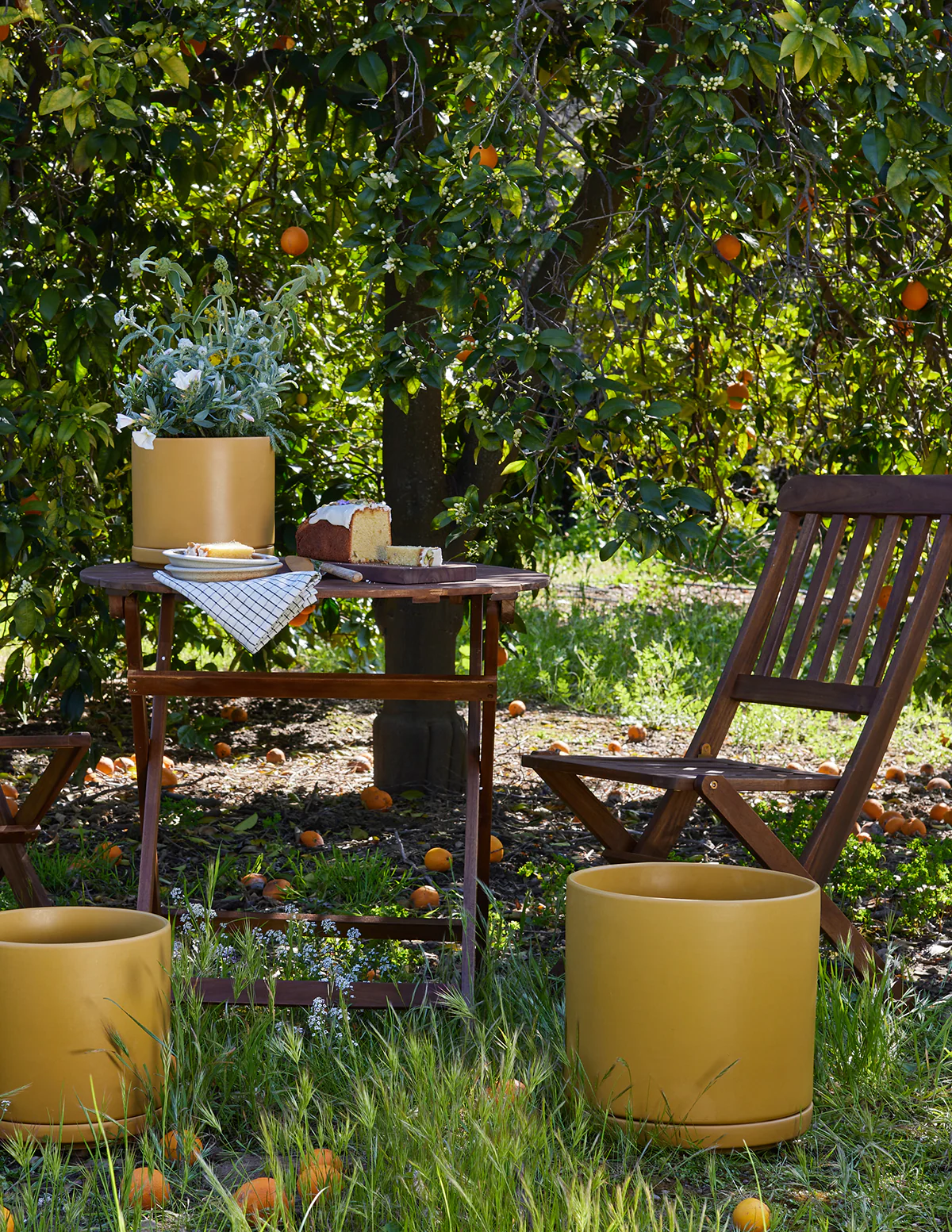 Solid Goods Planter with Saucer - Image 5