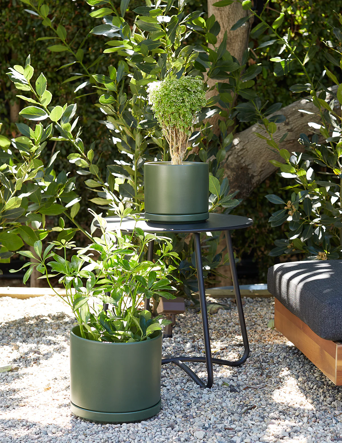Solid Goods Planter with Saucer - Image 6