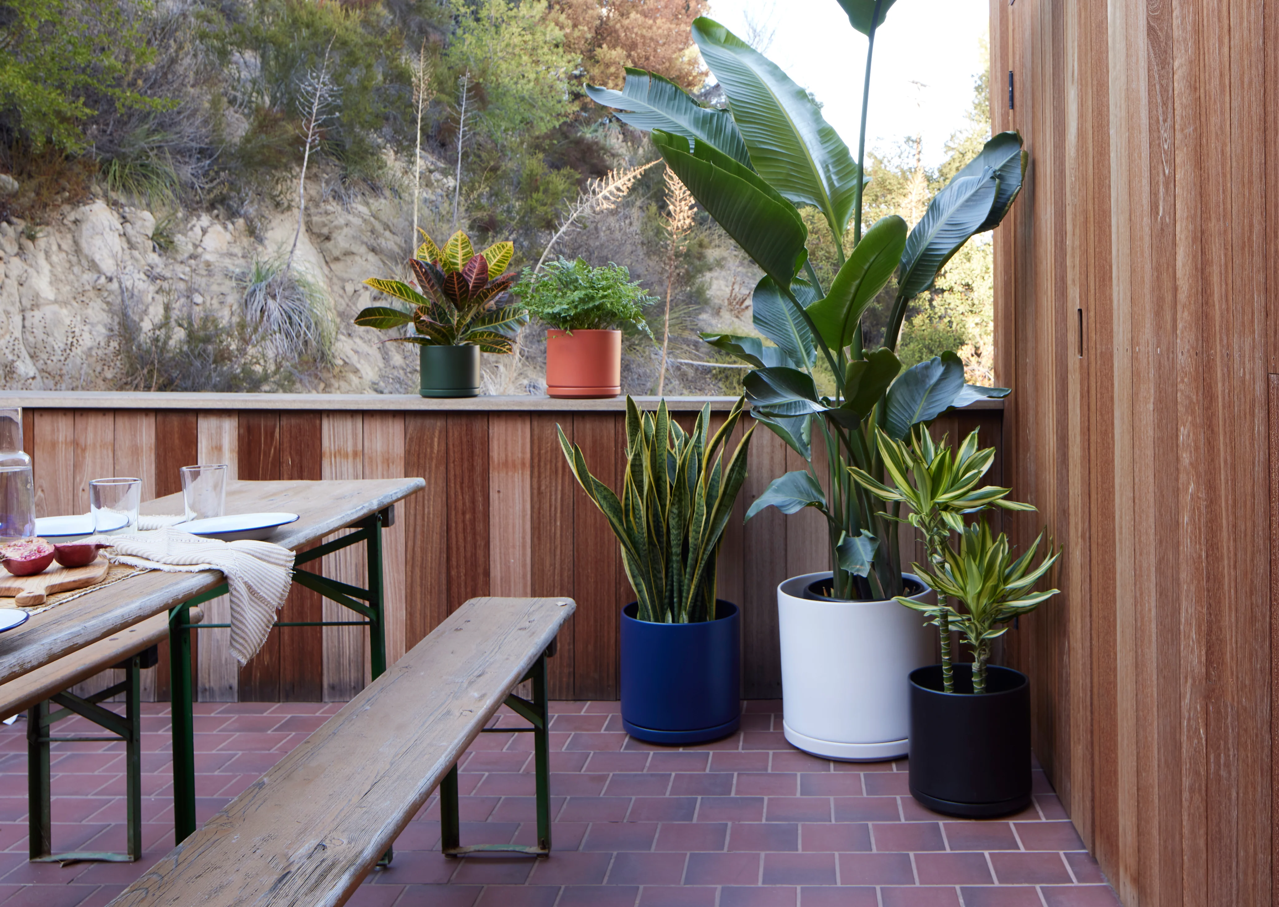 Solid Goods Planter with Saucer - Image 9