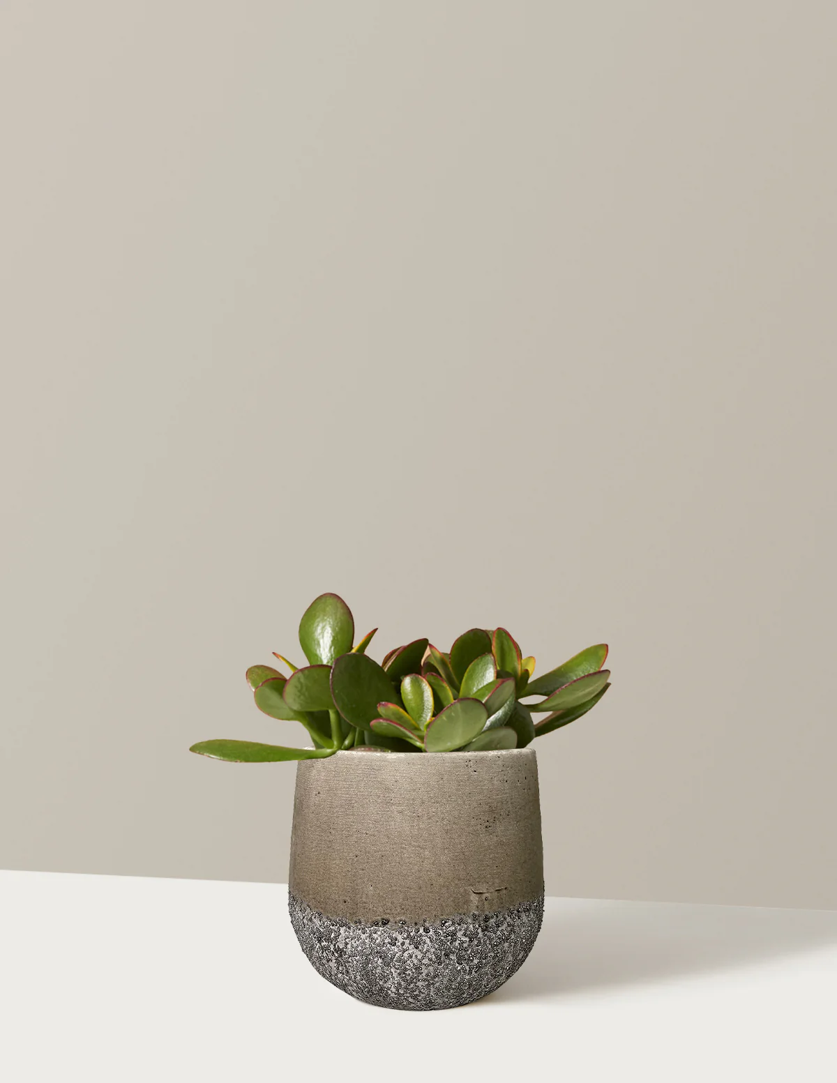 Sunset Jade - Image 4
