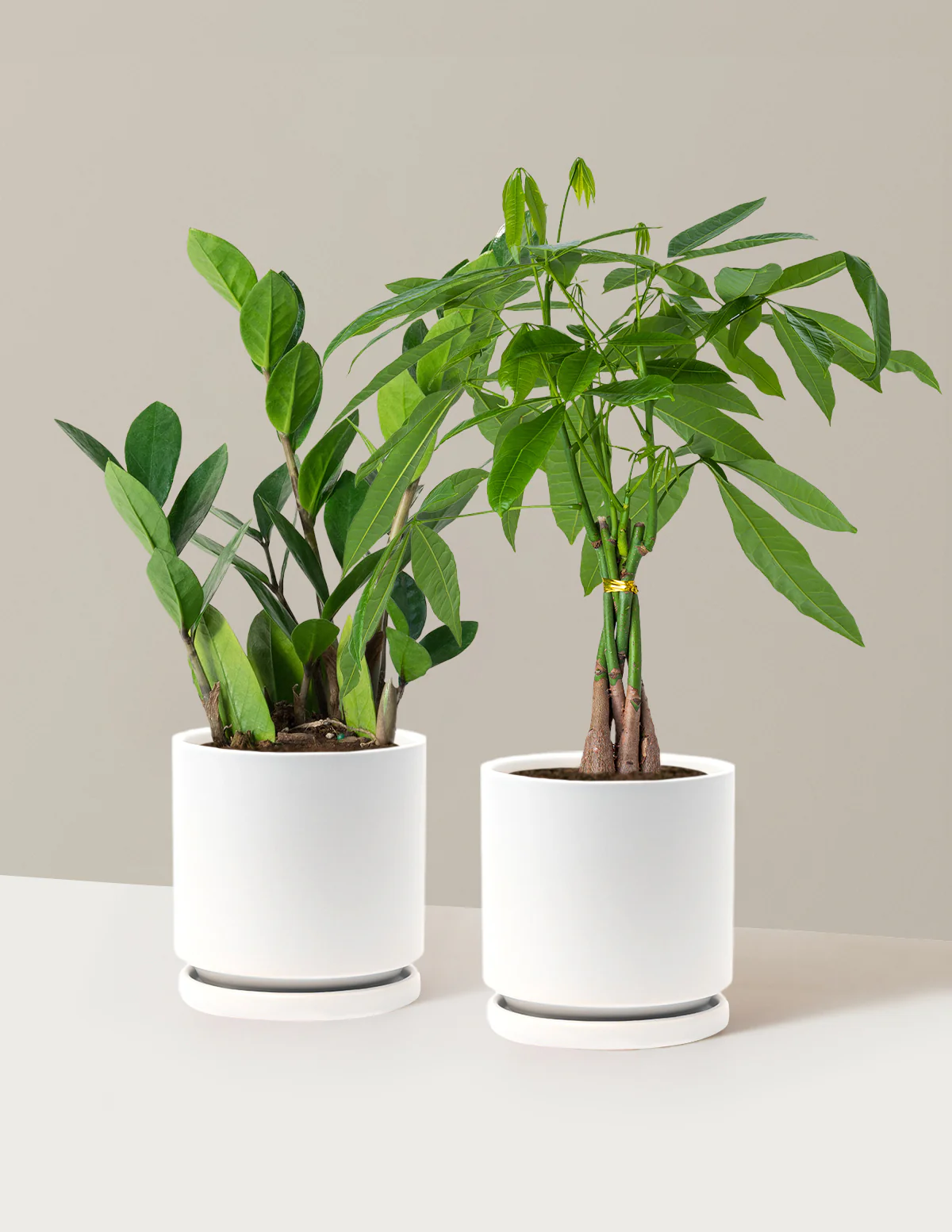 The Easy Care Duo - Image 14