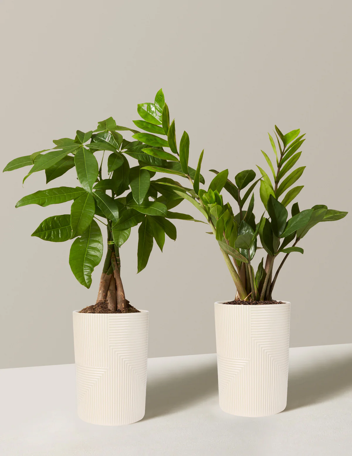 The Easy Care Duo - Image 18