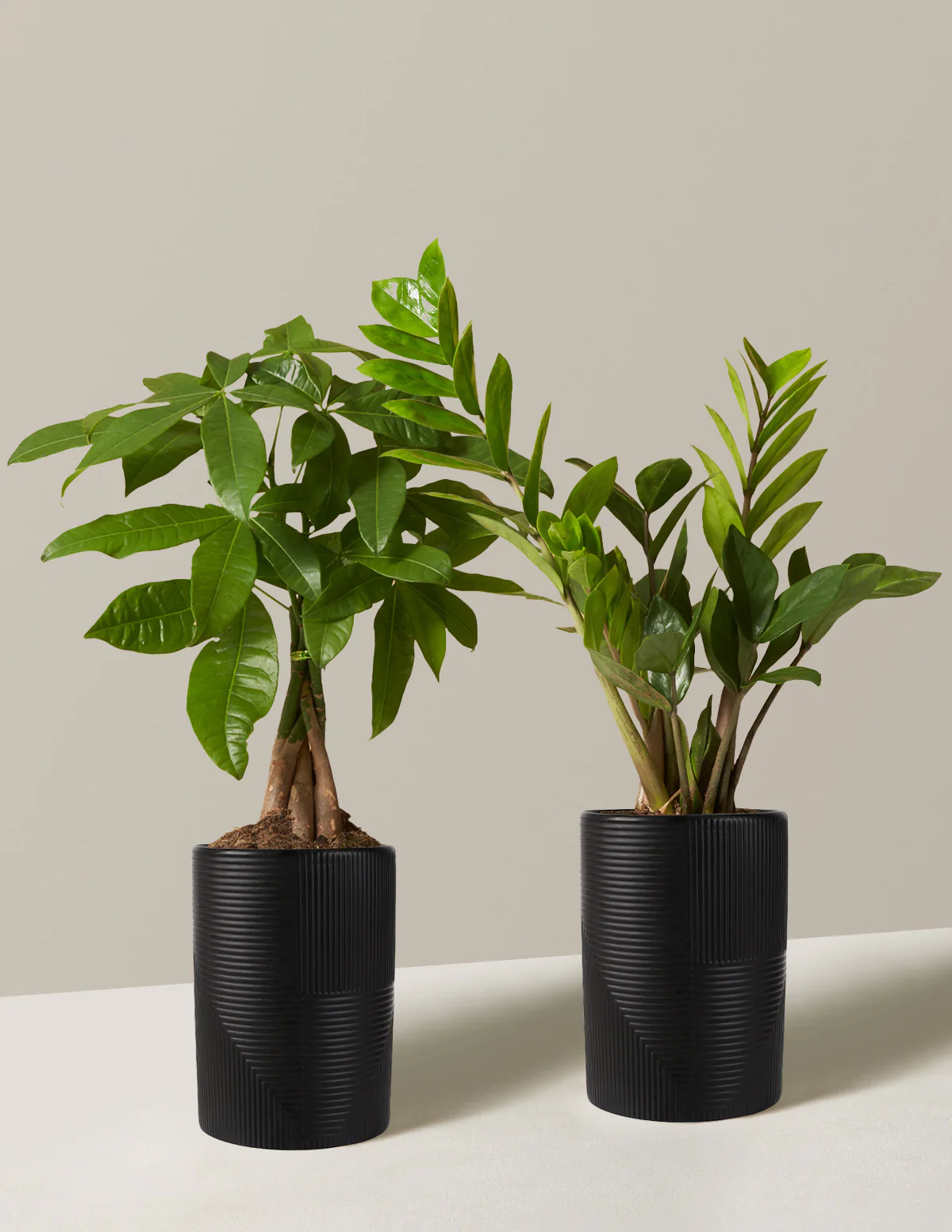The Easy Care Duo - Image 19