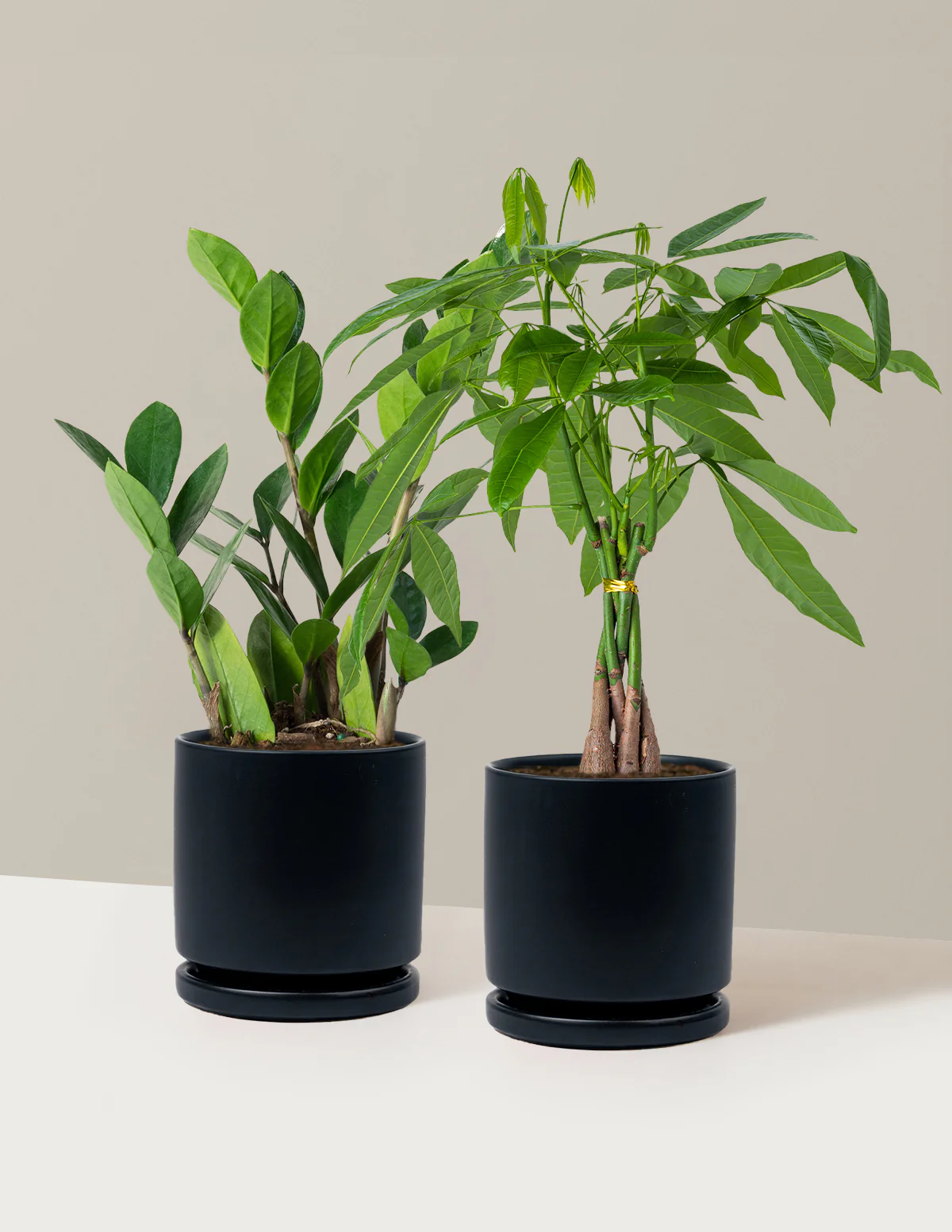 The Easy Care Duo - Image 8