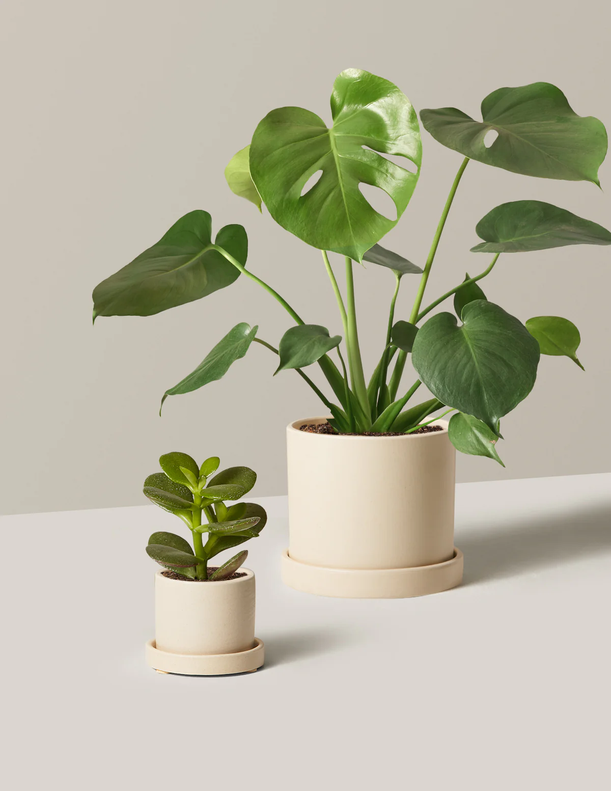 The Giftable Bundle - Image 6
