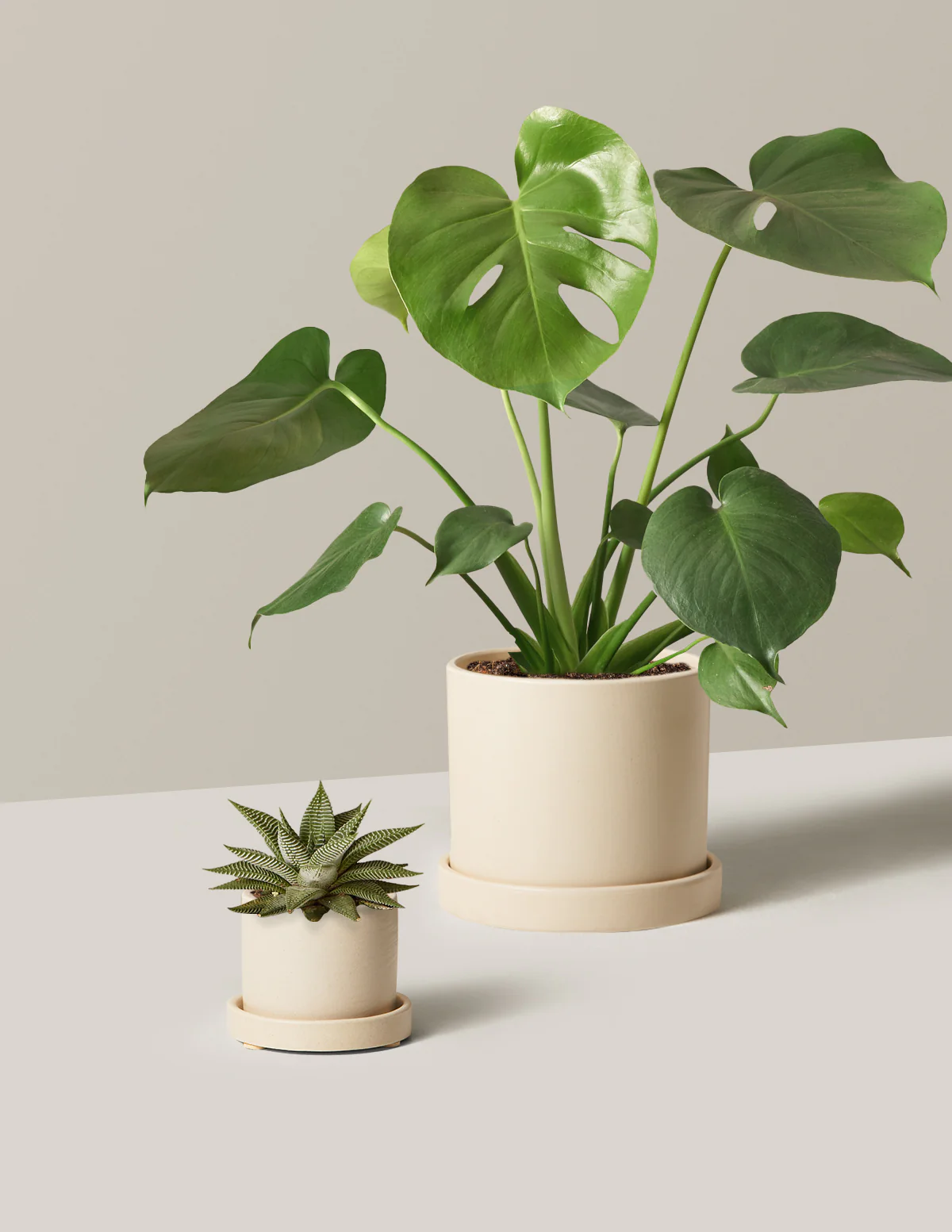 The Giftable Bundle - Image 8