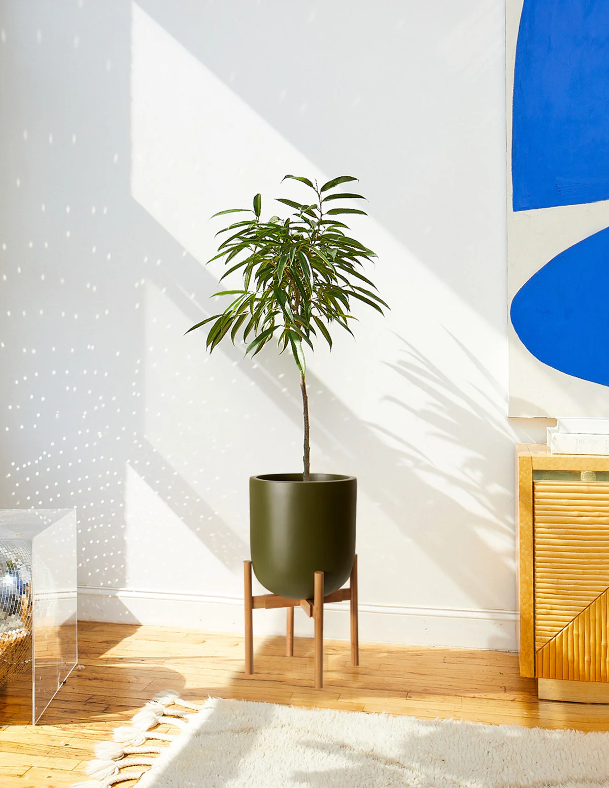 Large Pallas Planter - Image 3