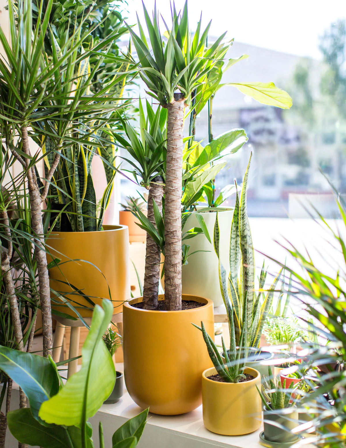 Large Pallas Planter - Image 5
