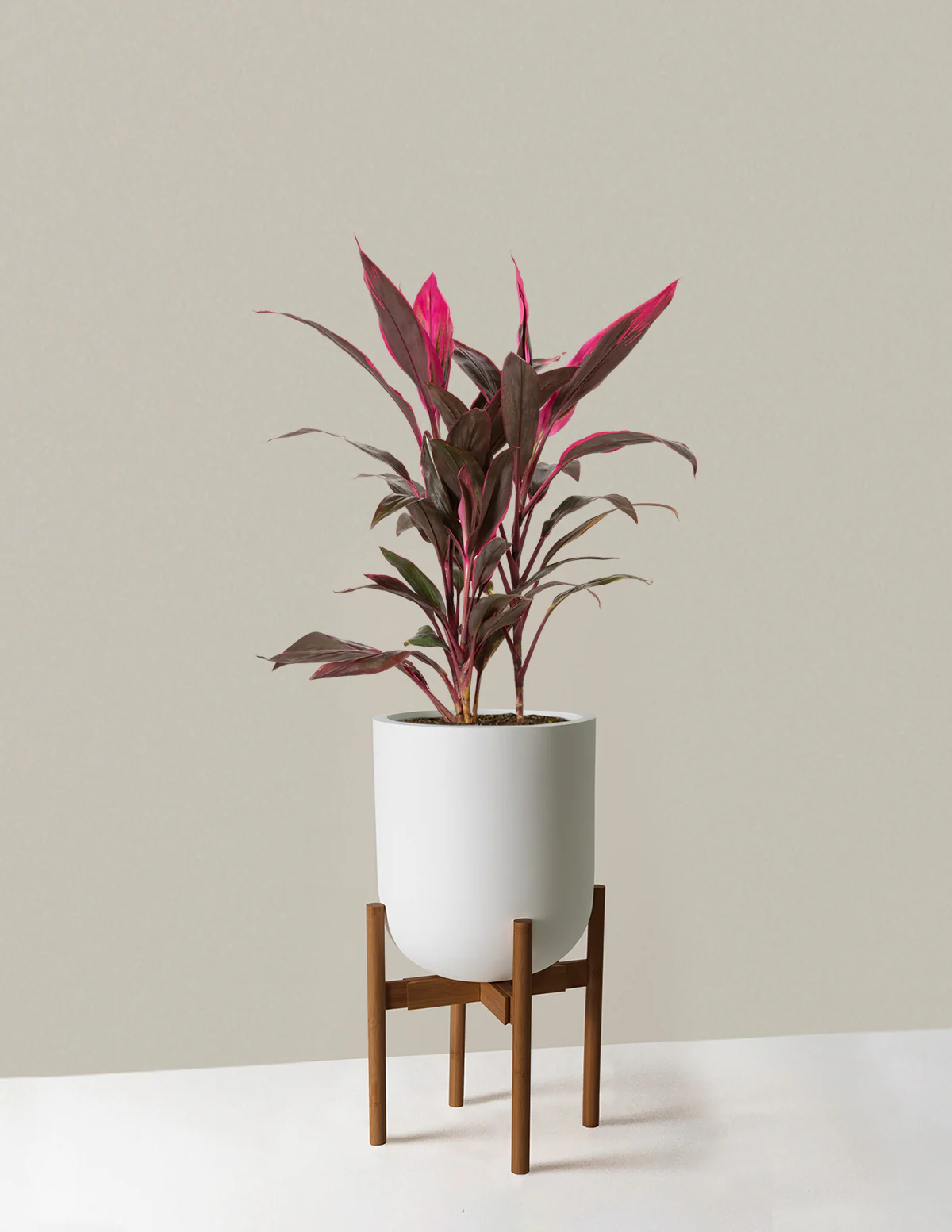 Large Pallas Planter - Image 7