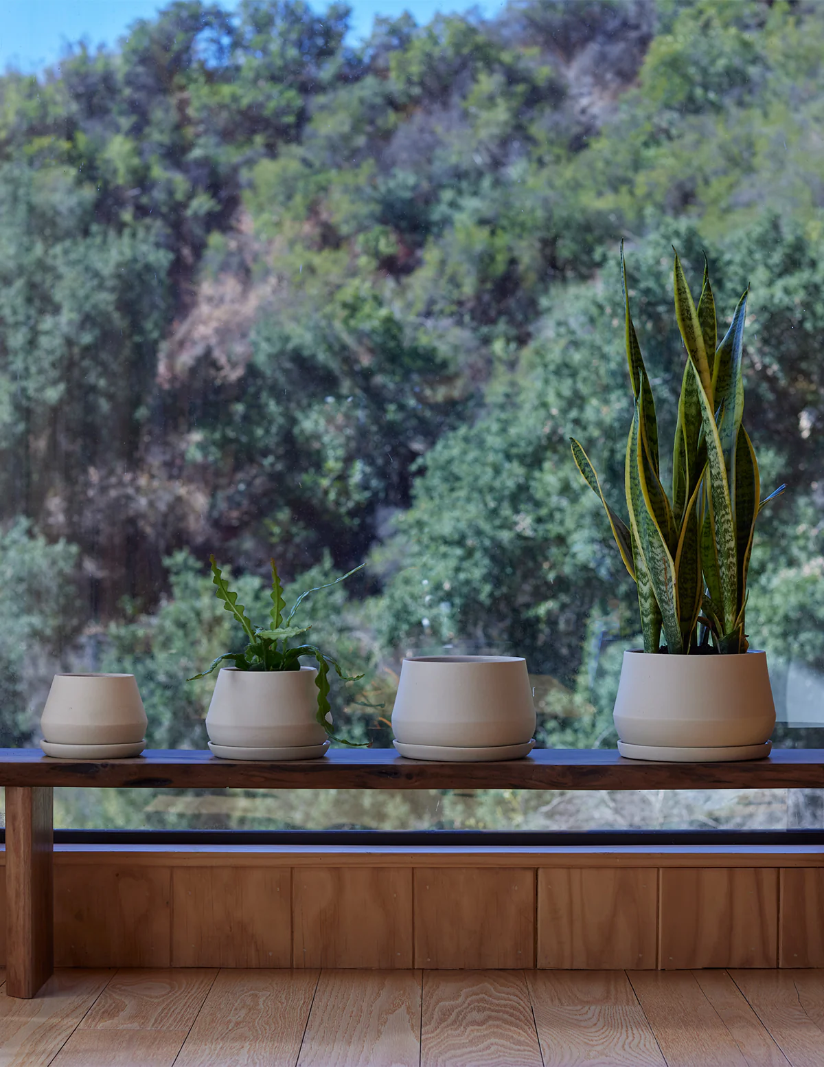 The Rancho Planter - Image 3