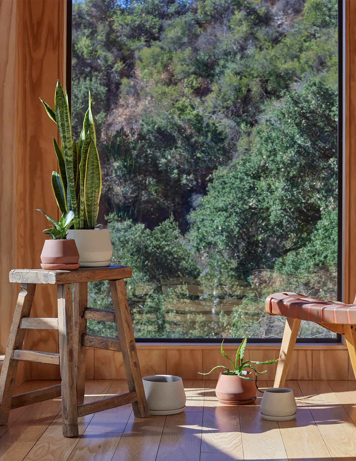 The Rancho Planter - Image 8