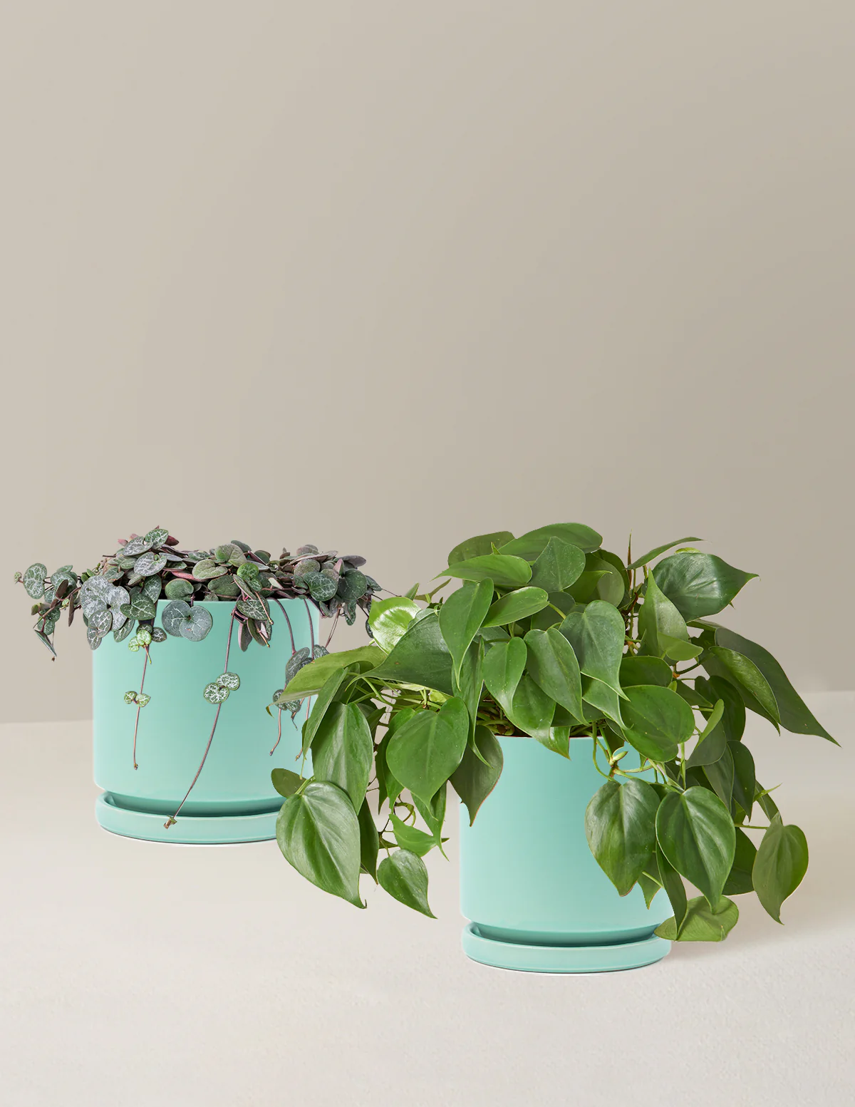 Trailing Hearts Duo - Image 2