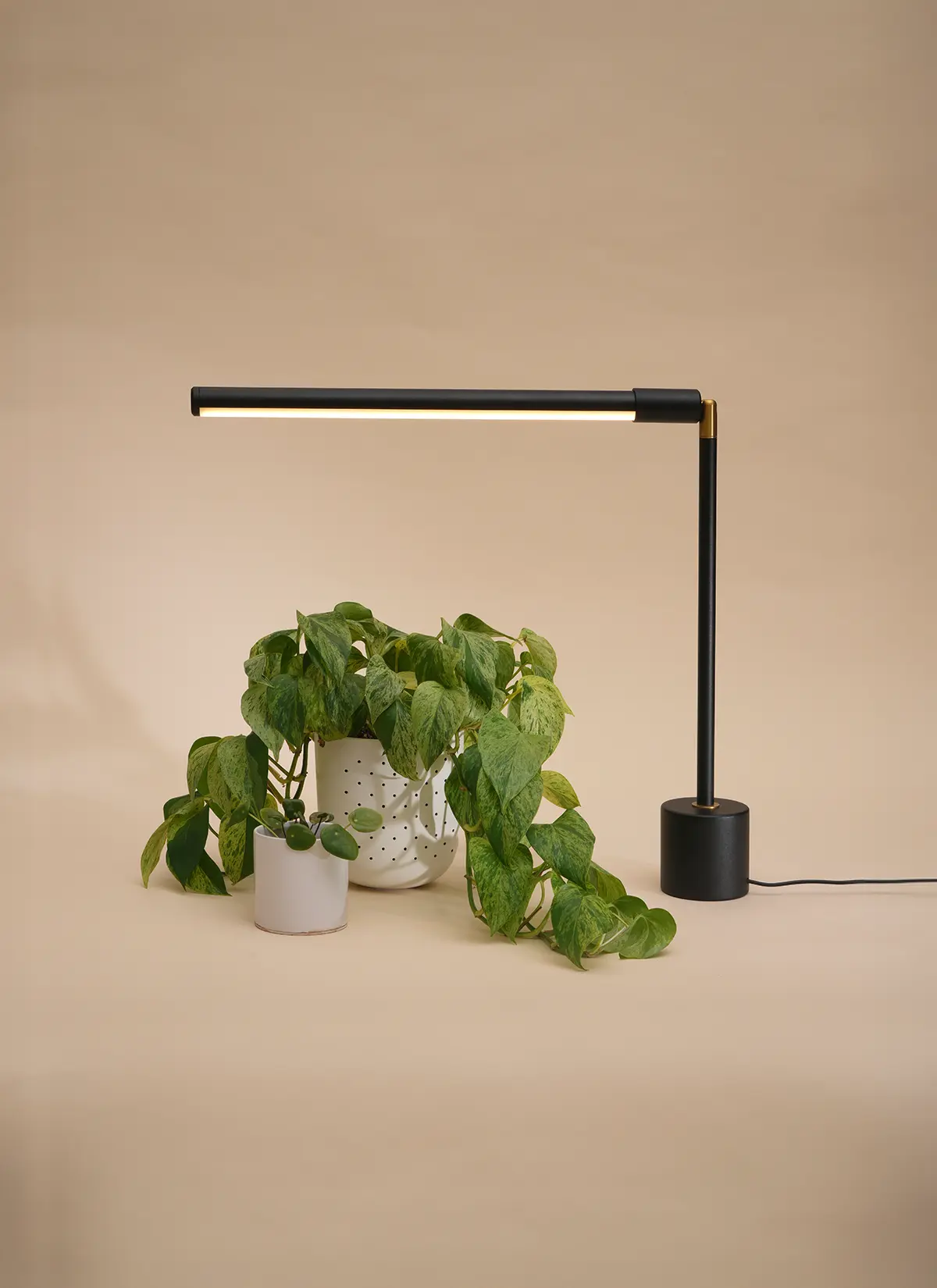 Versa Tabletop Grow Light - Image 4