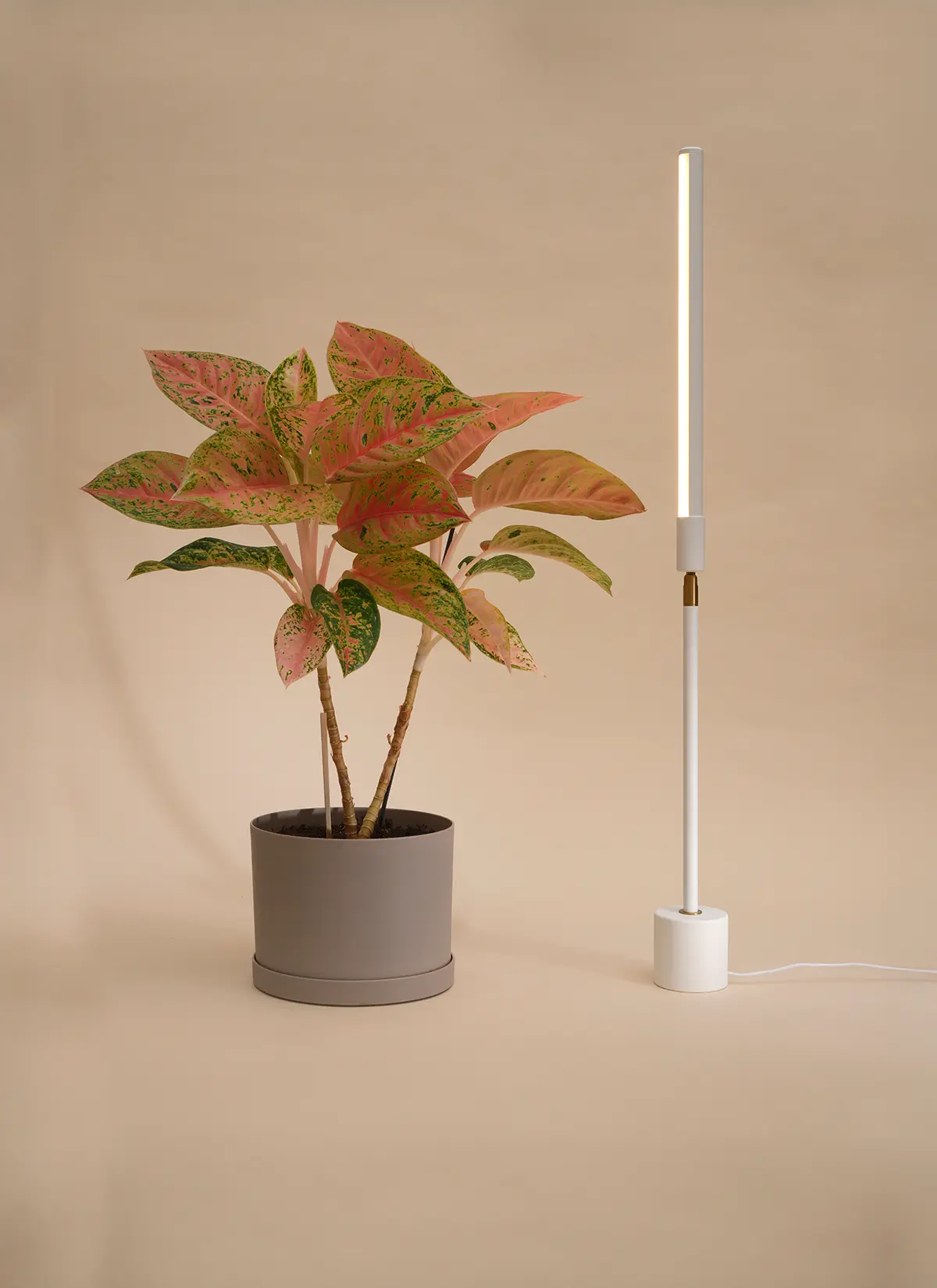 Versa Tabletop Grow Light - Image 6