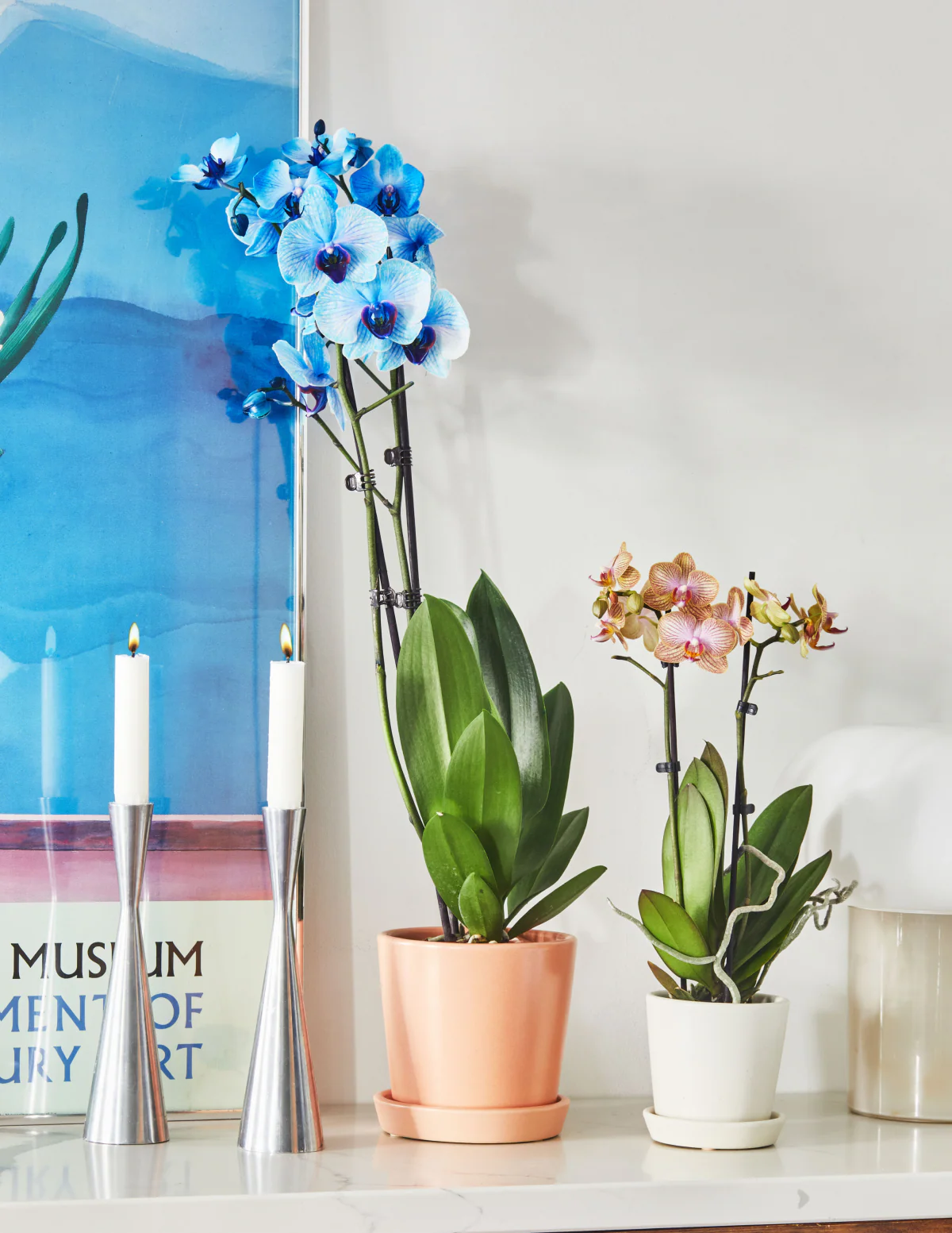 Watercolor Orchid Party Pack - Image 5