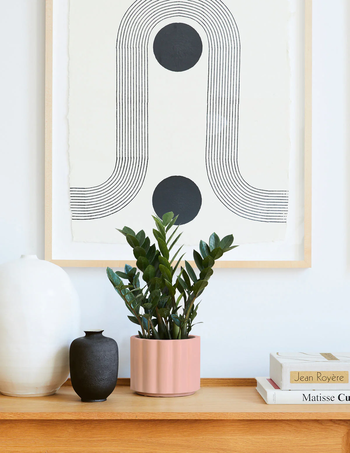 ZZ Plant - Image 13